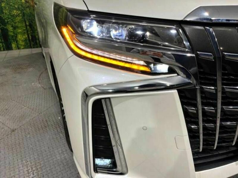 ALPHARD-13