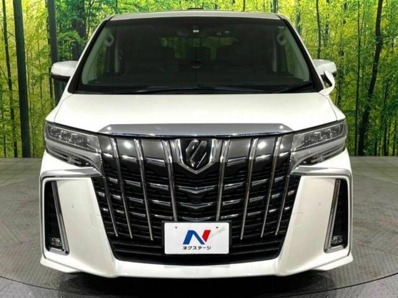 ALPHARD-15