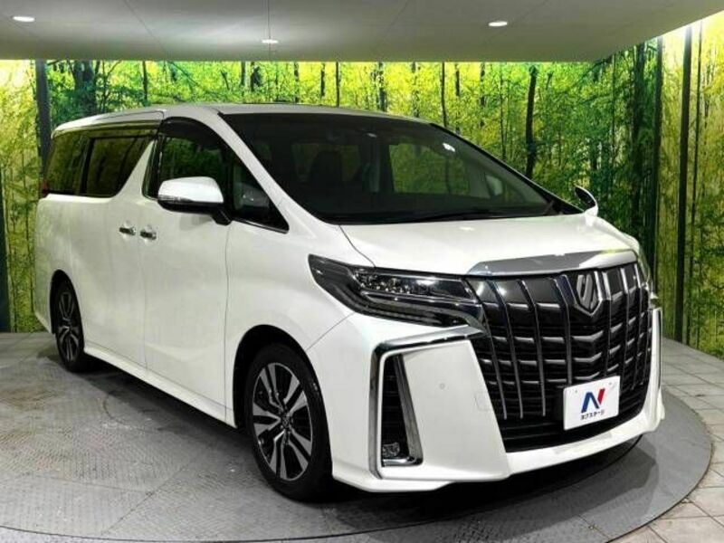 ALPHARD-17