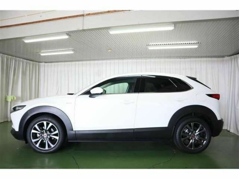 CX-30-1