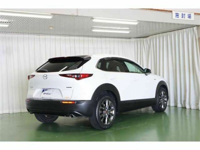 CX-30-3