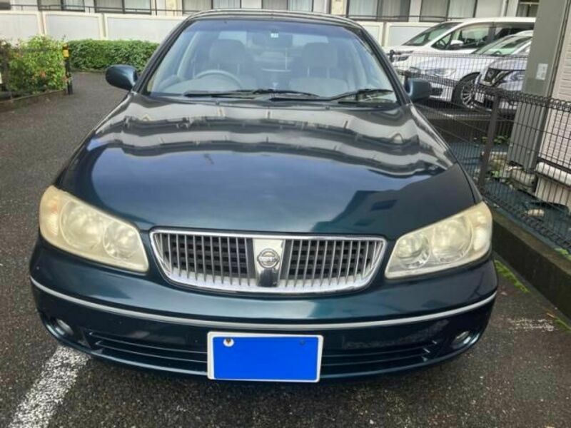 BLUEBIRD SYLPHY