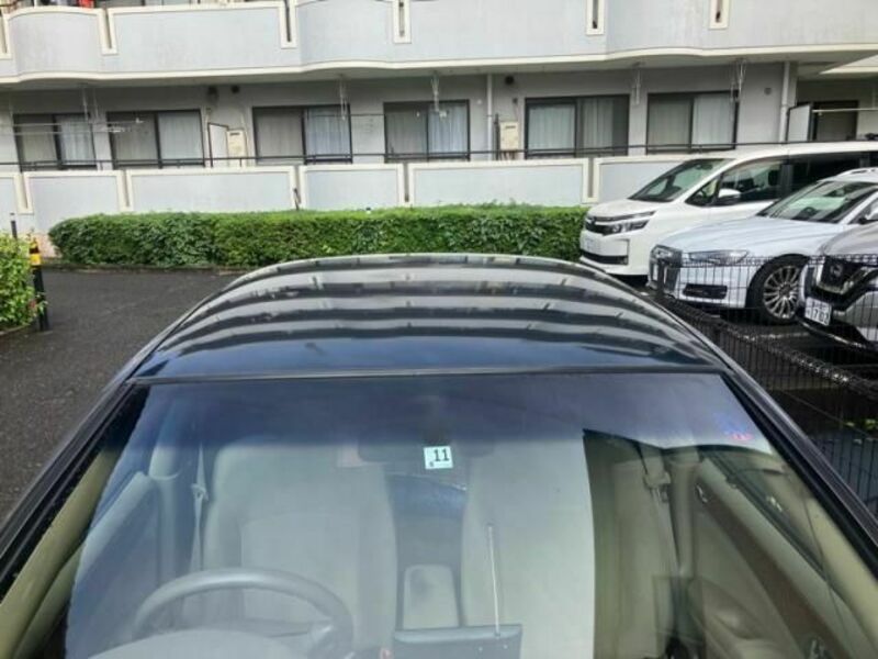 BLUEBIRD SYLPHY