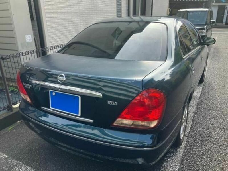 BLUEBIRD SYLPHY
