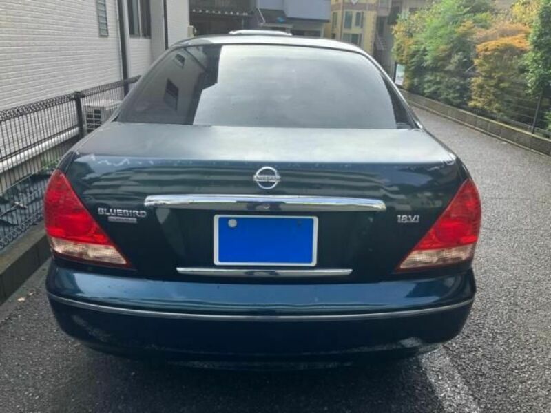BLUEBIRD SYLPHY