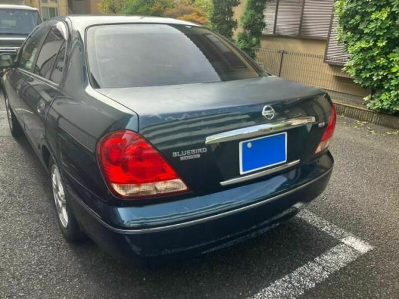 BLUEBIRD SYLPHY