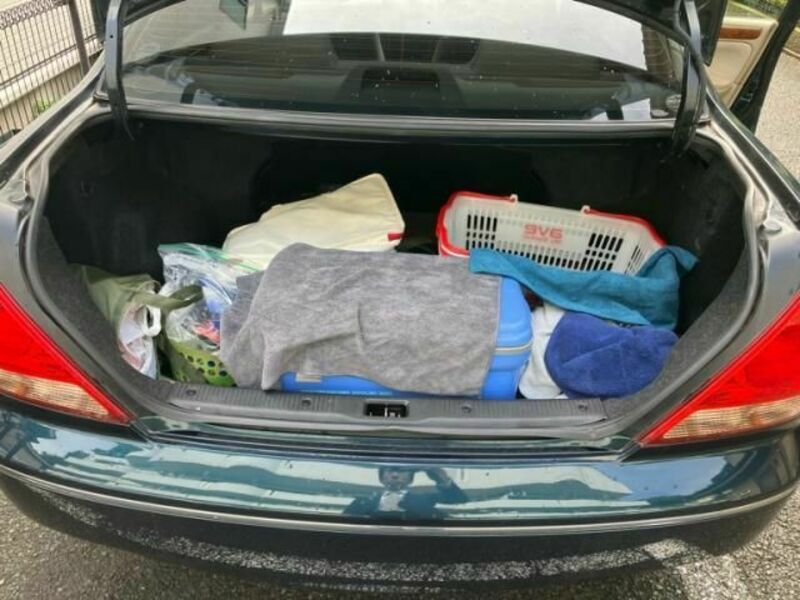 BLUEBIRD SYLPHY