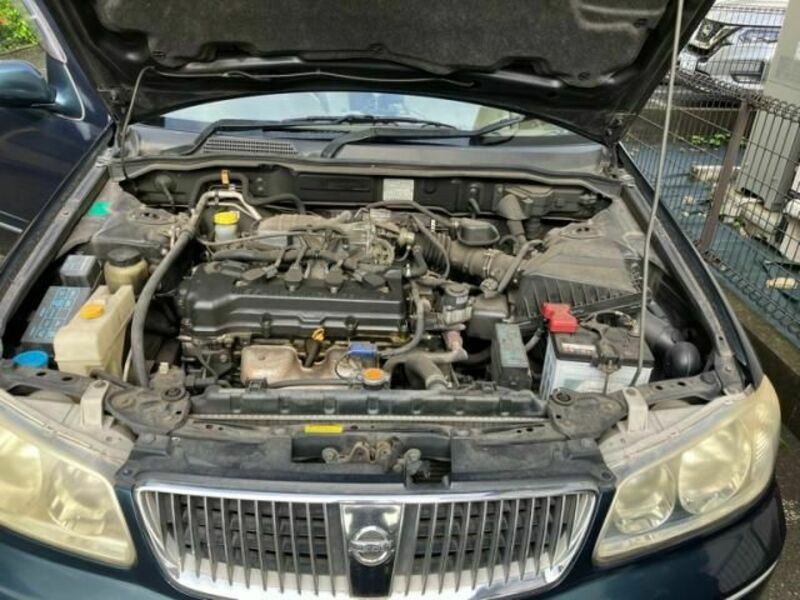 BLUEBIRD SYLPHY