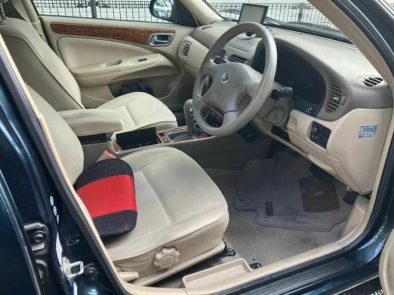 BLUEBIRD SYLPHY