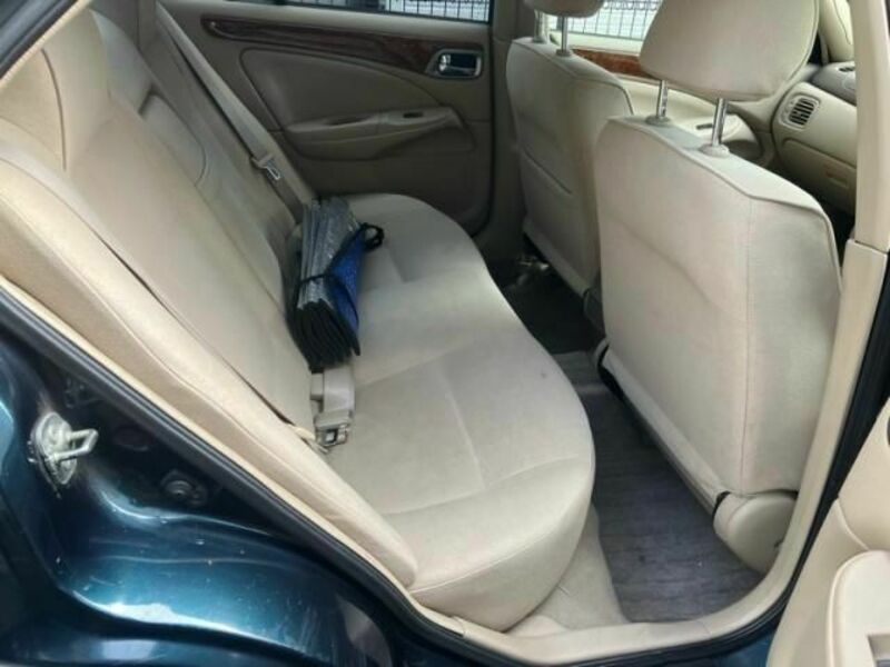 BLUEBIRD SYLPHY