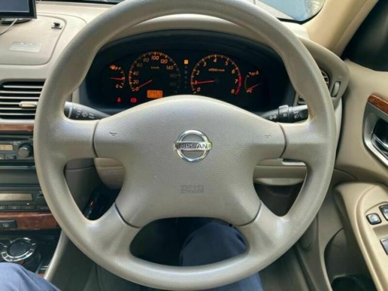 BLUEBIRD SYLPHY
