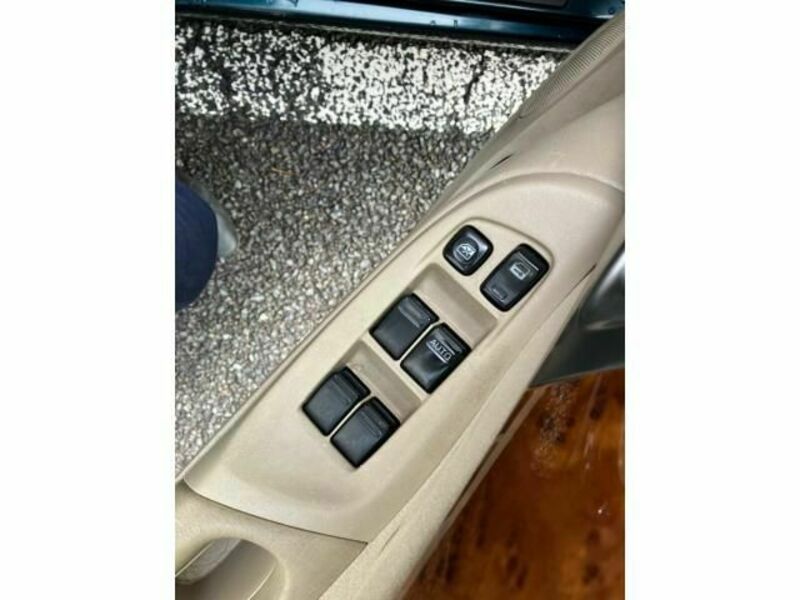 BLUEBIRD SYLPHY