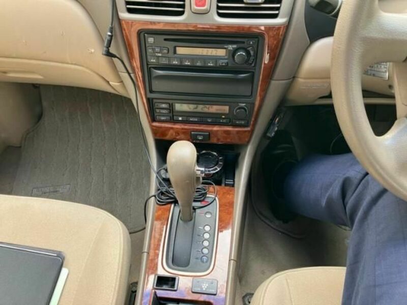 BLUEBIRD SYLPHY