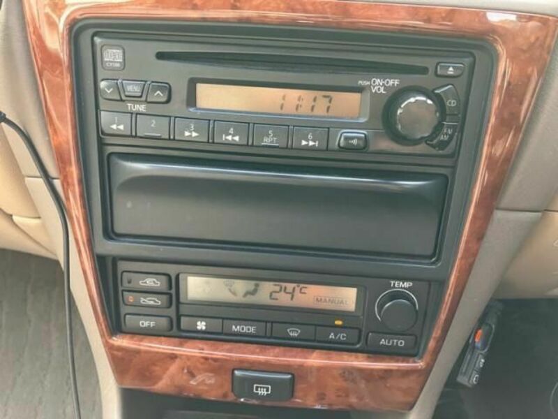 BLUEBIRD SYLPHY