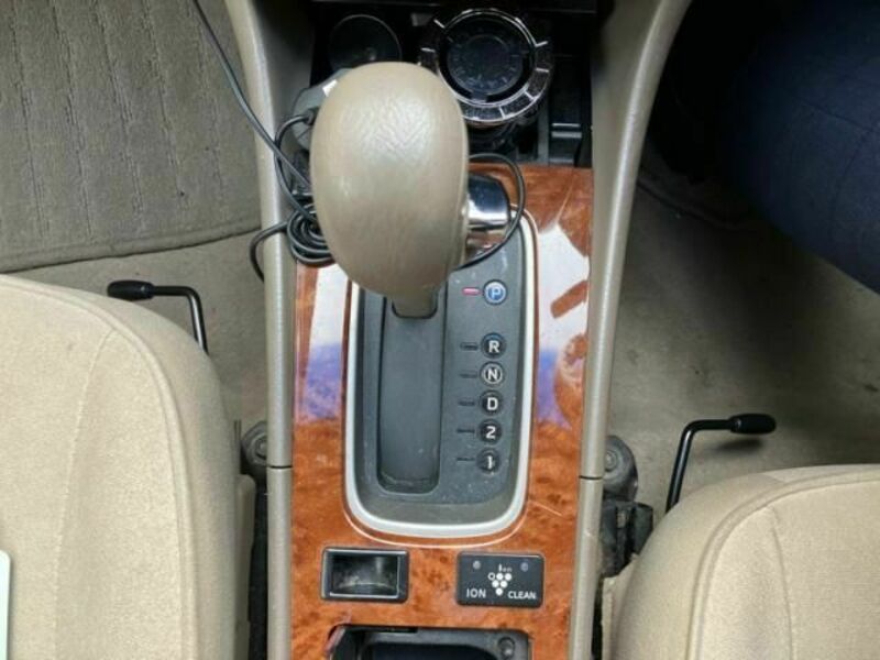 BLUEBIRD SYLPHY
