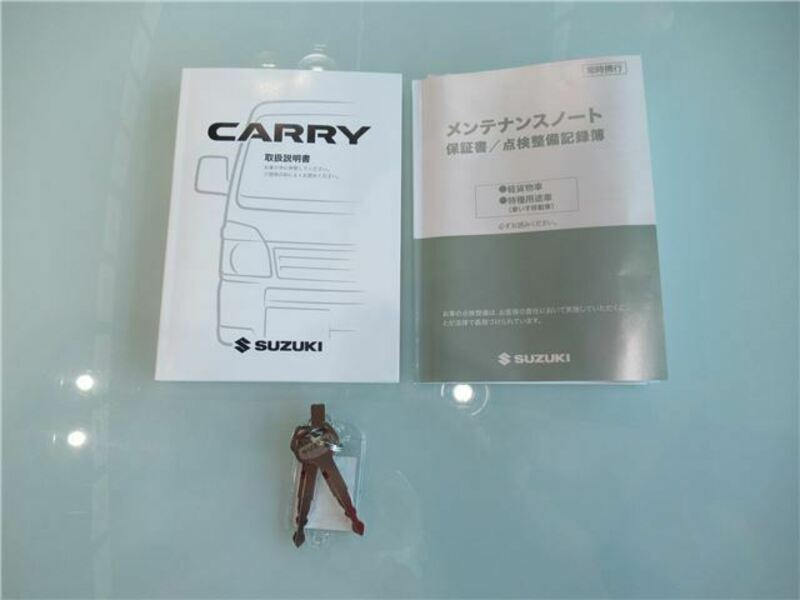 CARRY TRUCK-36