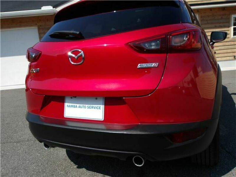 CX-3-13