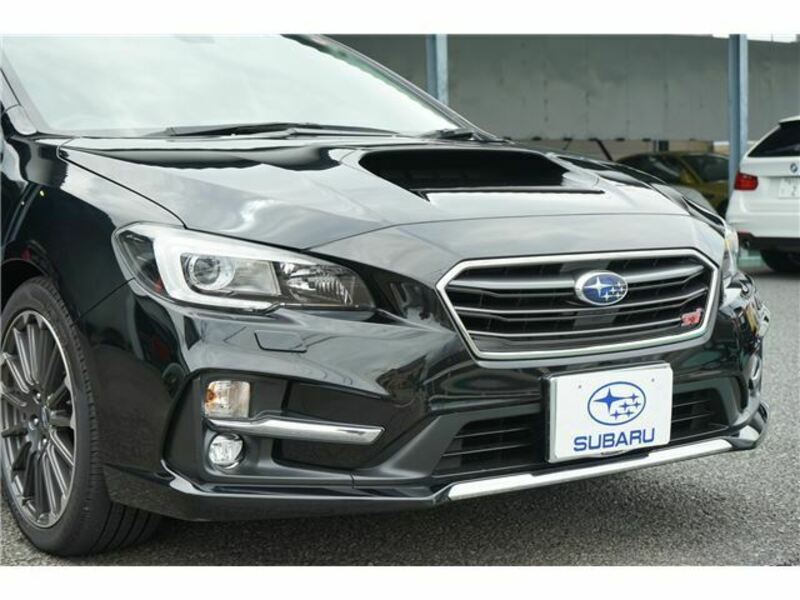 LEVORG-18