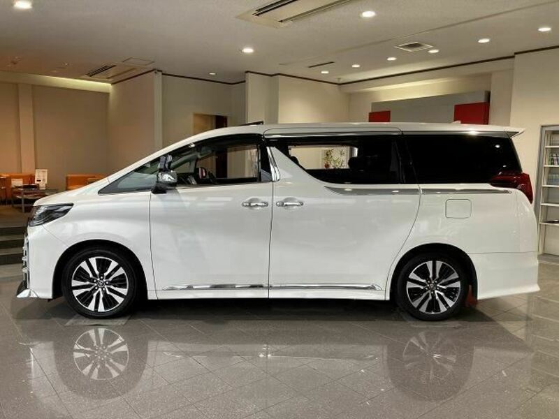 ALPHARD-15