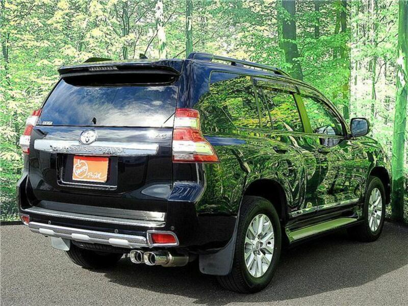 LAND CRUISER PRADO-3