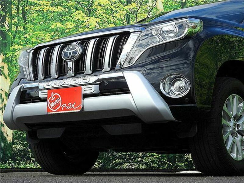 LAND CRUISER PRADO-6