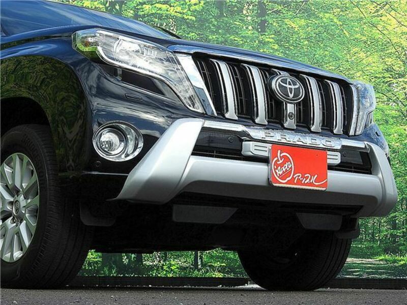 LAND CRUISER PRADO-7