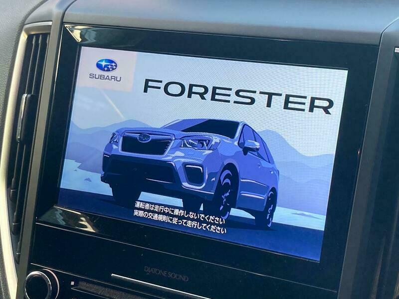 FORESTER