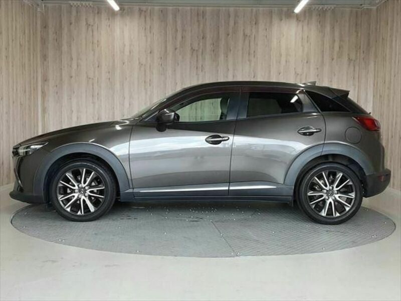 CX-3-19