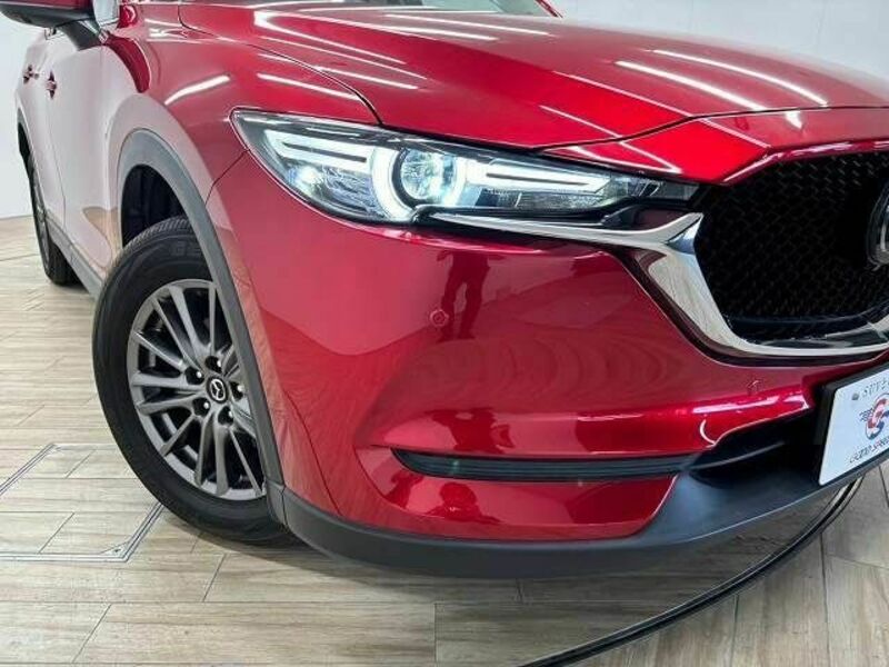 CX-5-19