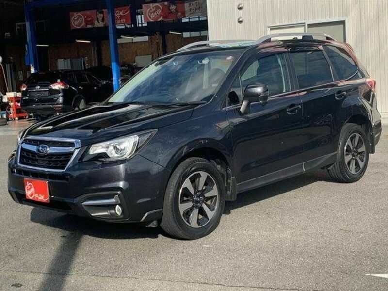 FORESTER-24