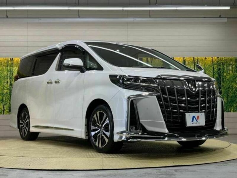 ALPHARD-17