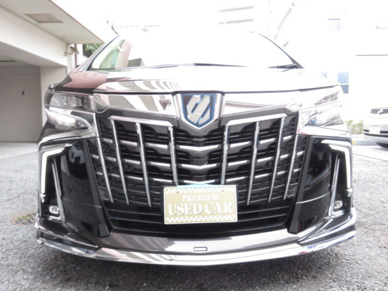 ALPHARD-1