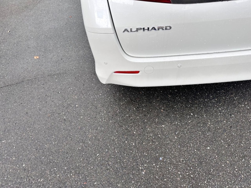 ALPHARD-14