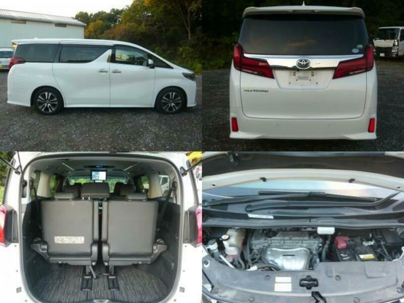 ALPHARD-2