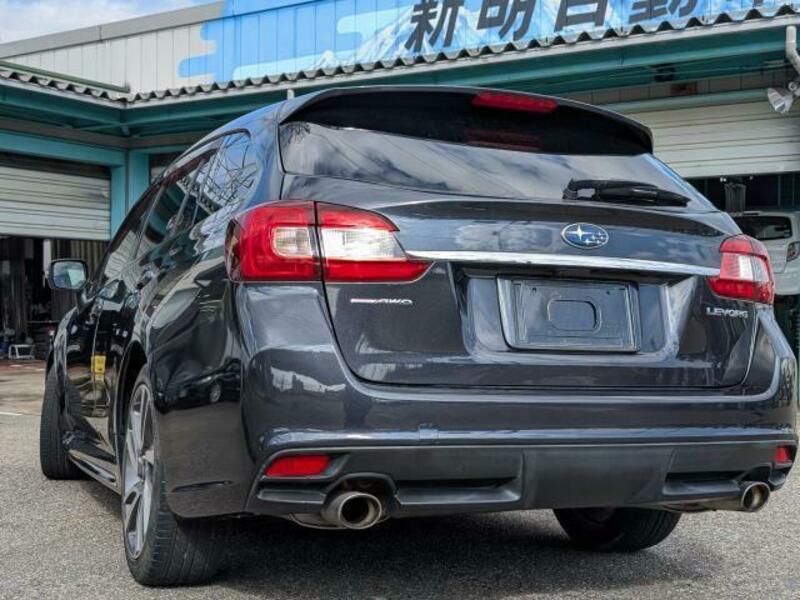 LEVORG-1