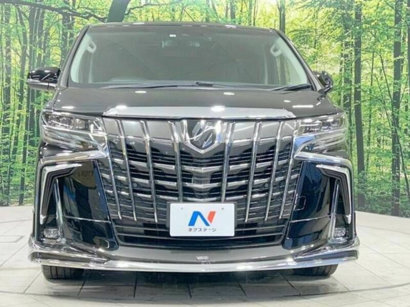 ALPHARD-14