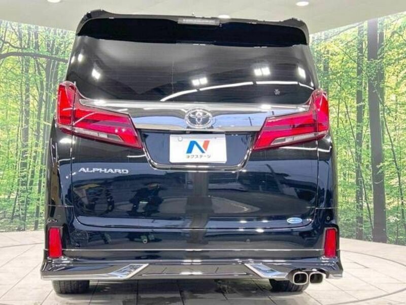 ALPHARD-15