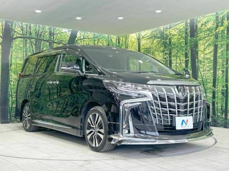 ALPHARD-16