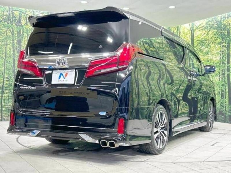 ALPHARD-17