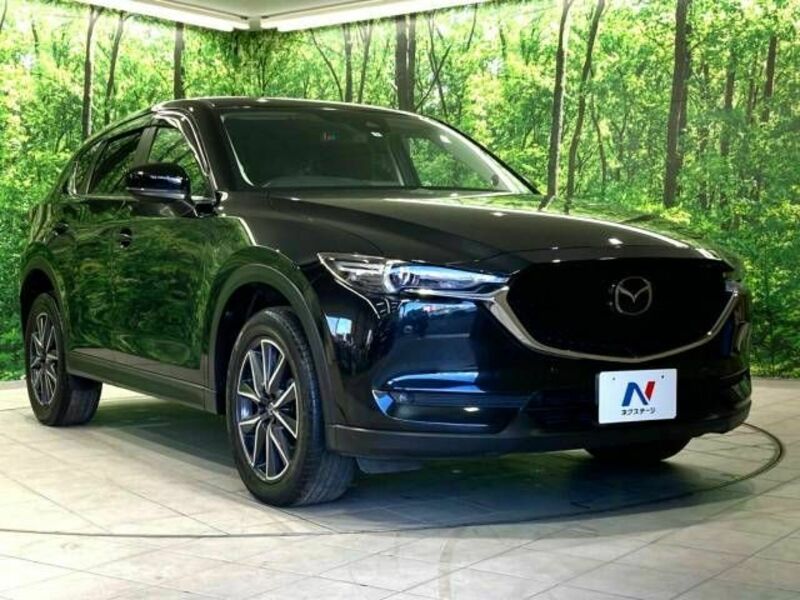 CX-5-16