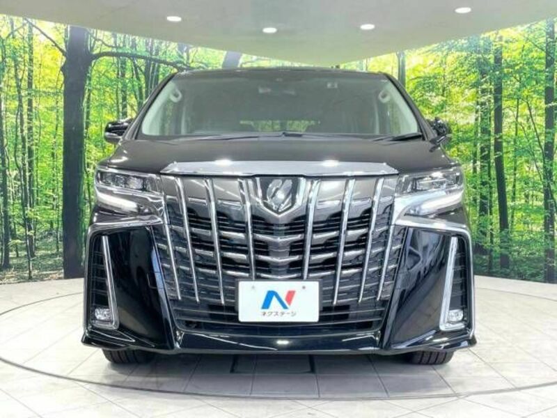 ALPHARD-15