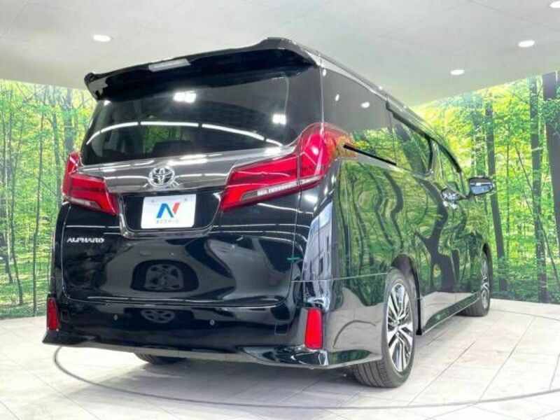 ALPHARD-18