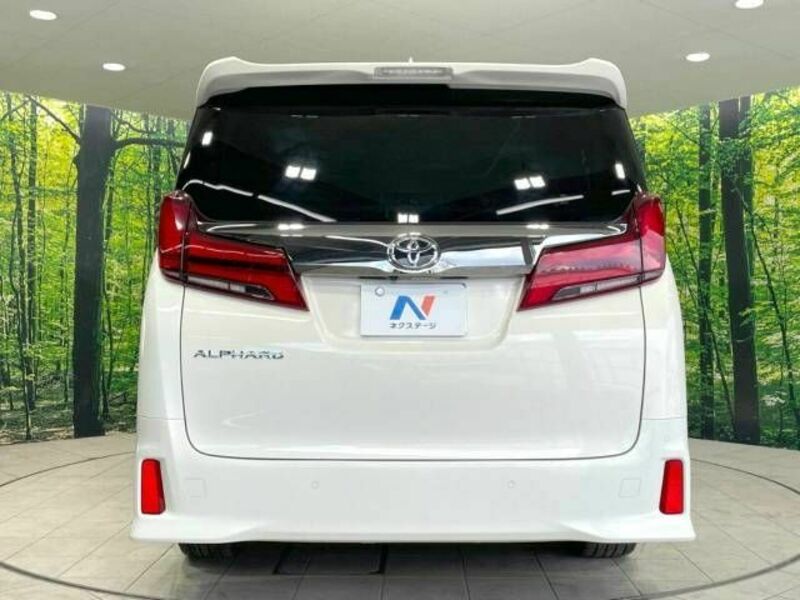 ALPHARD-16