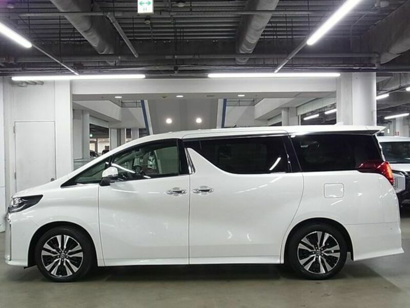 ALPHARD-8