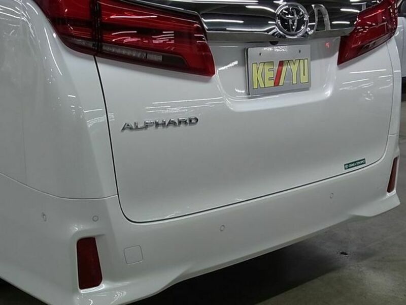 ALPHARD-28