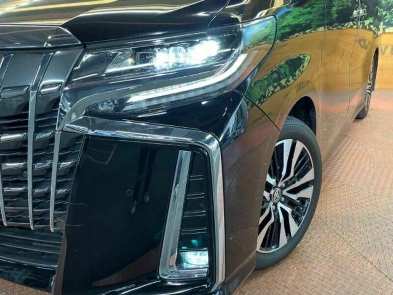 ALPHARD-15