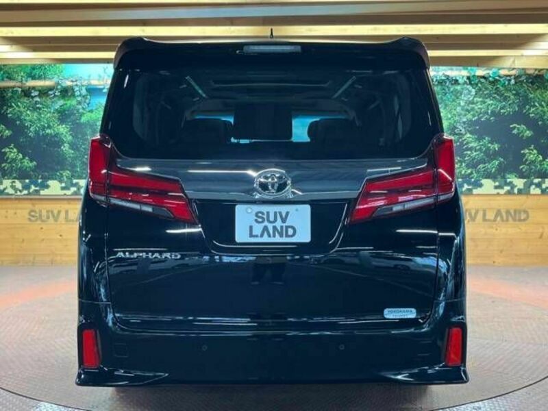 ALPHARD-18