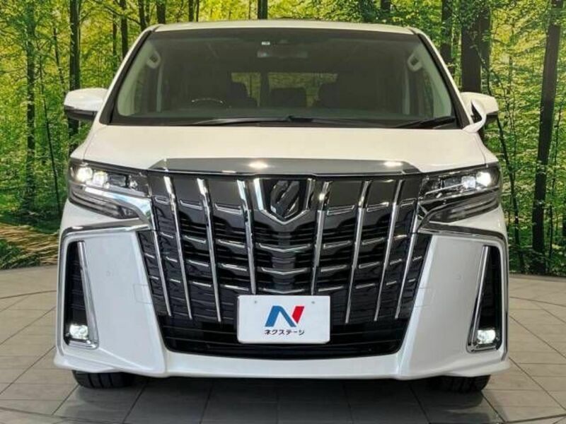 ALPHARD-14