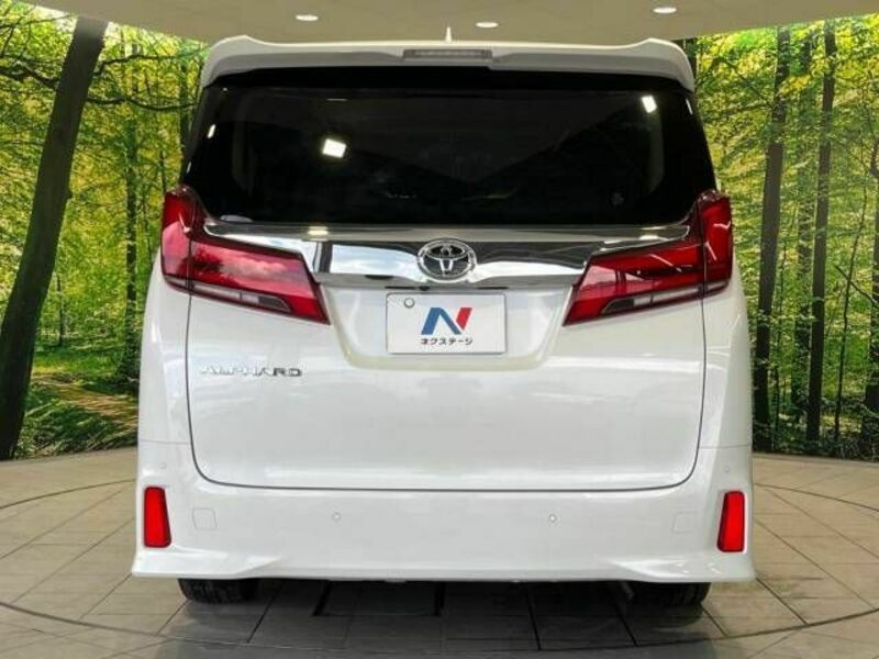 ALPHARD-15