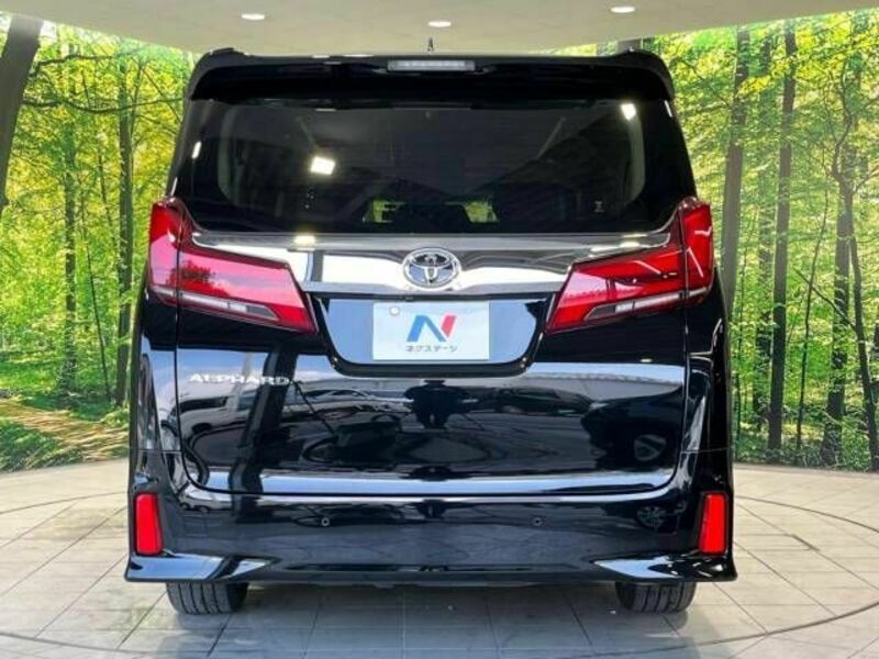 ALPHARD-15